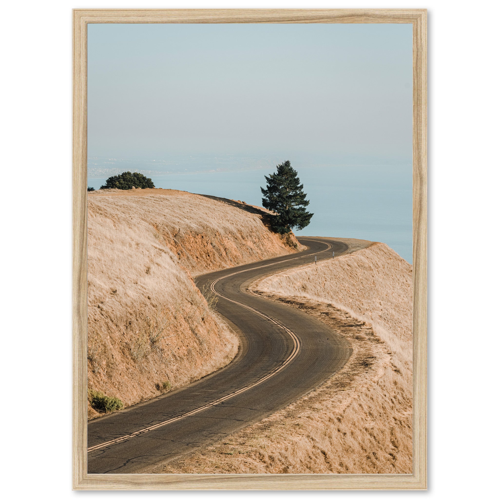 a picture of a dirt road going up a hill