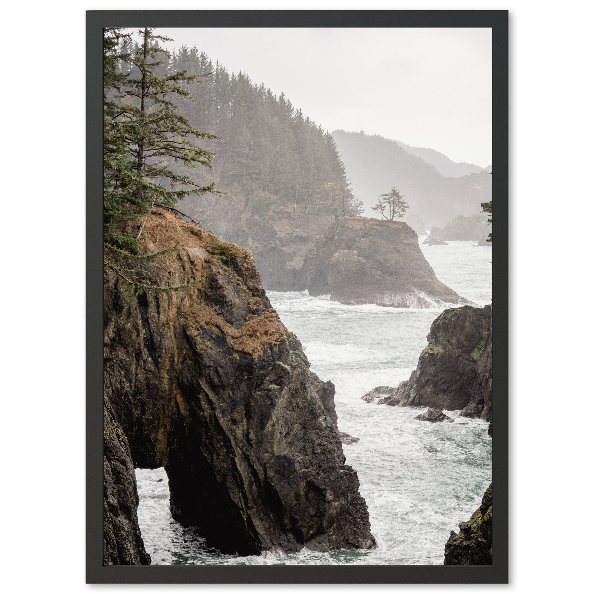 a picture of a rocky coast with trees on it