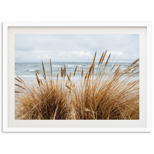 a picture of a beach with grass in the foreground