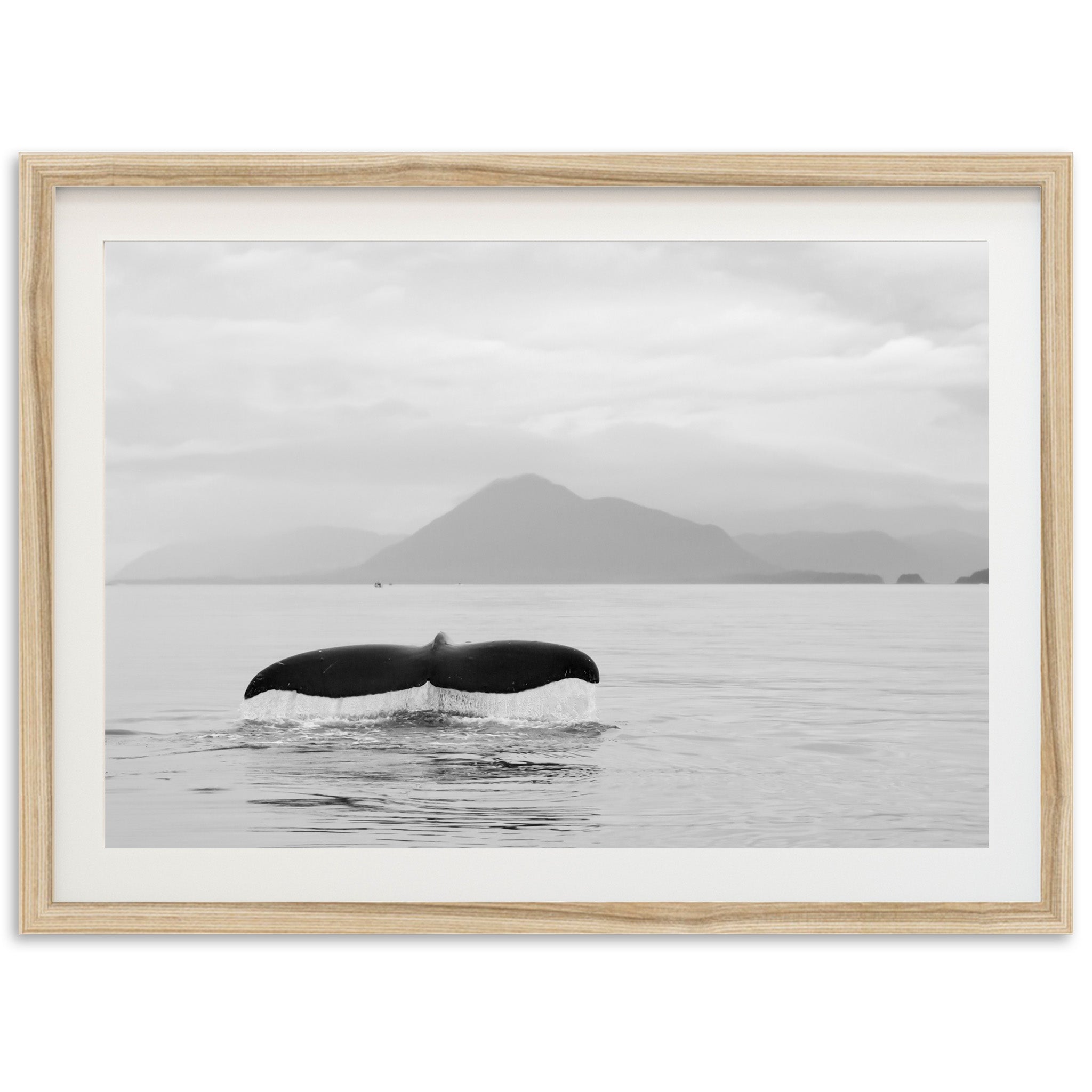 a black and white photo of a whale tail