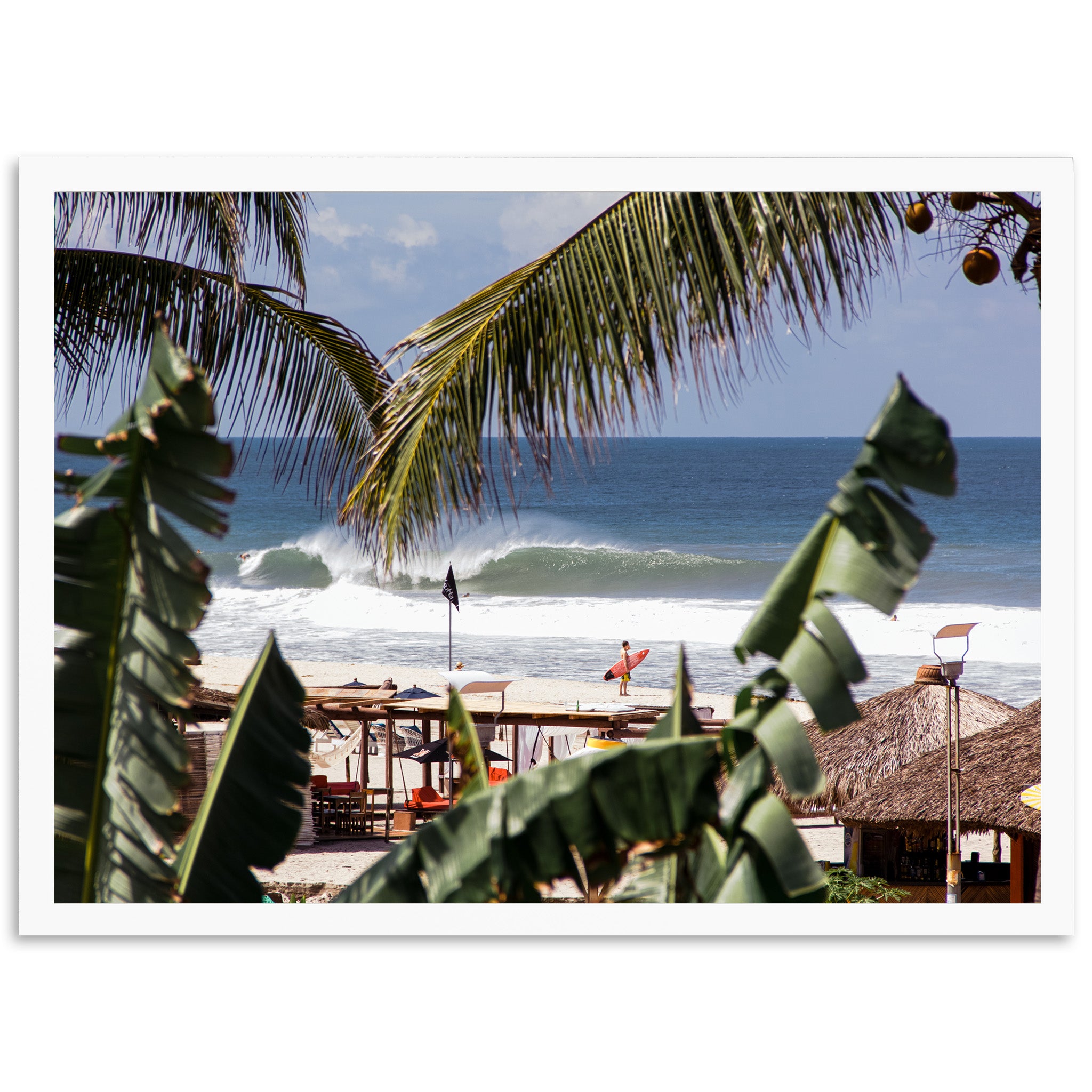 a picture of a beach with a palm tree