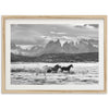 a black and white photo of horses in a field