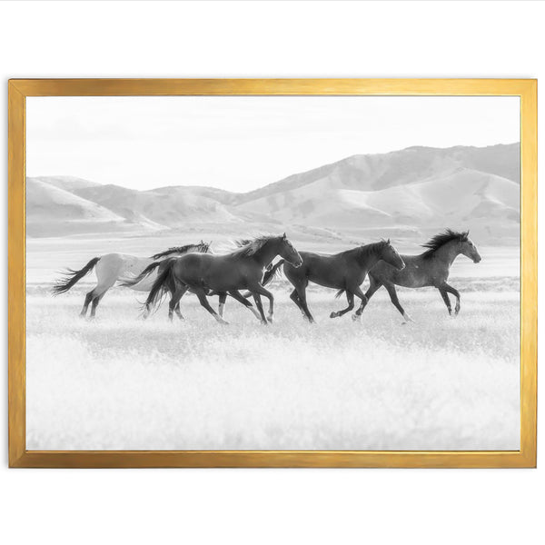 a black and white photo of horses running in a field