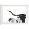 a black and white photo of a cow with long horns