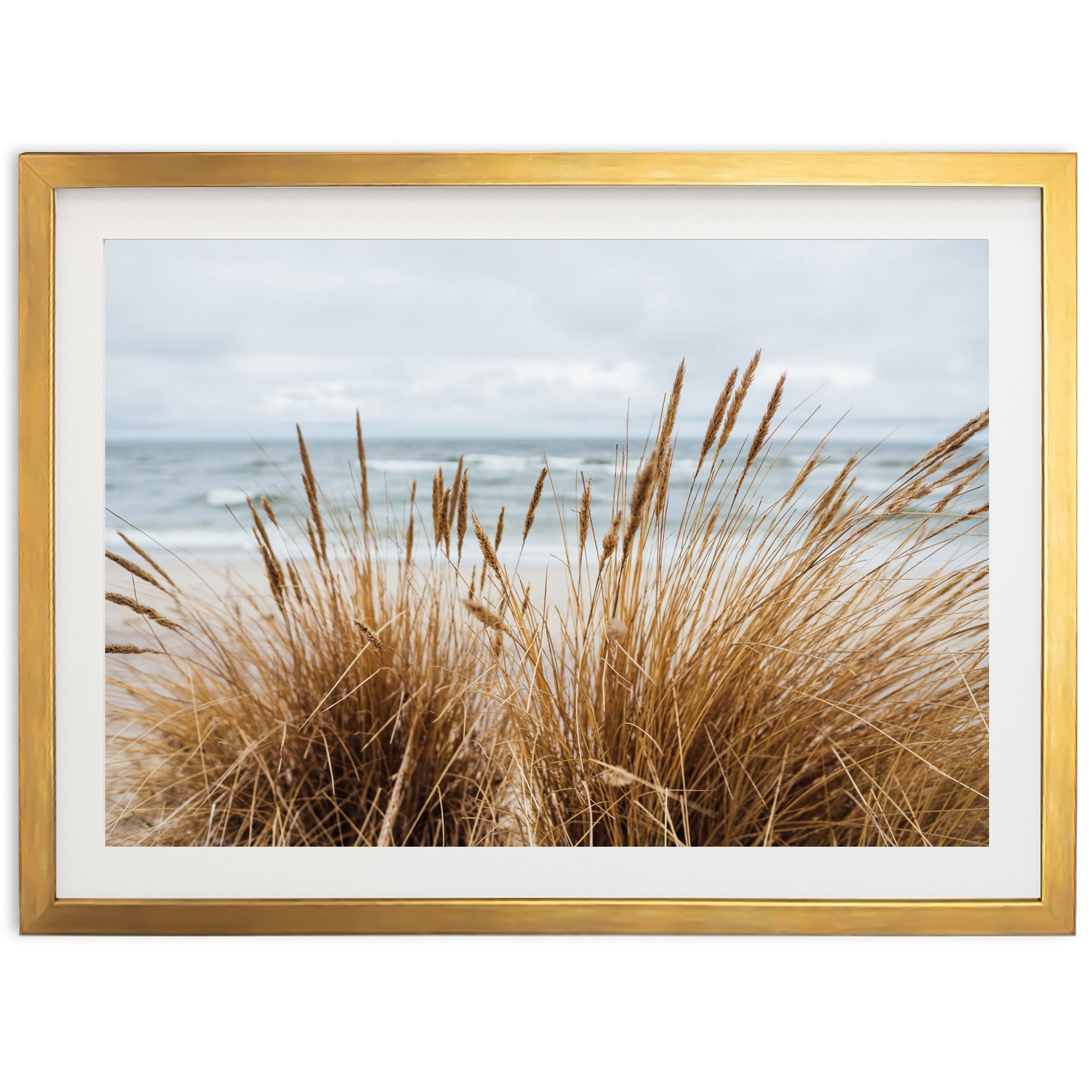 a picture of a beach with grass in the foreground