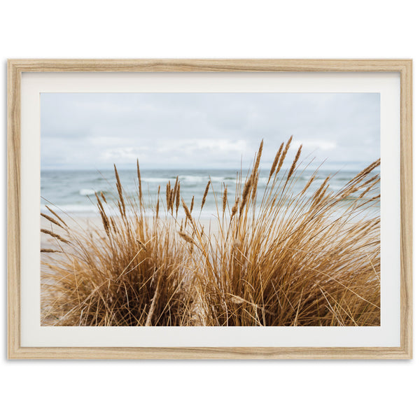 a picture of a beach with grass in the foreground