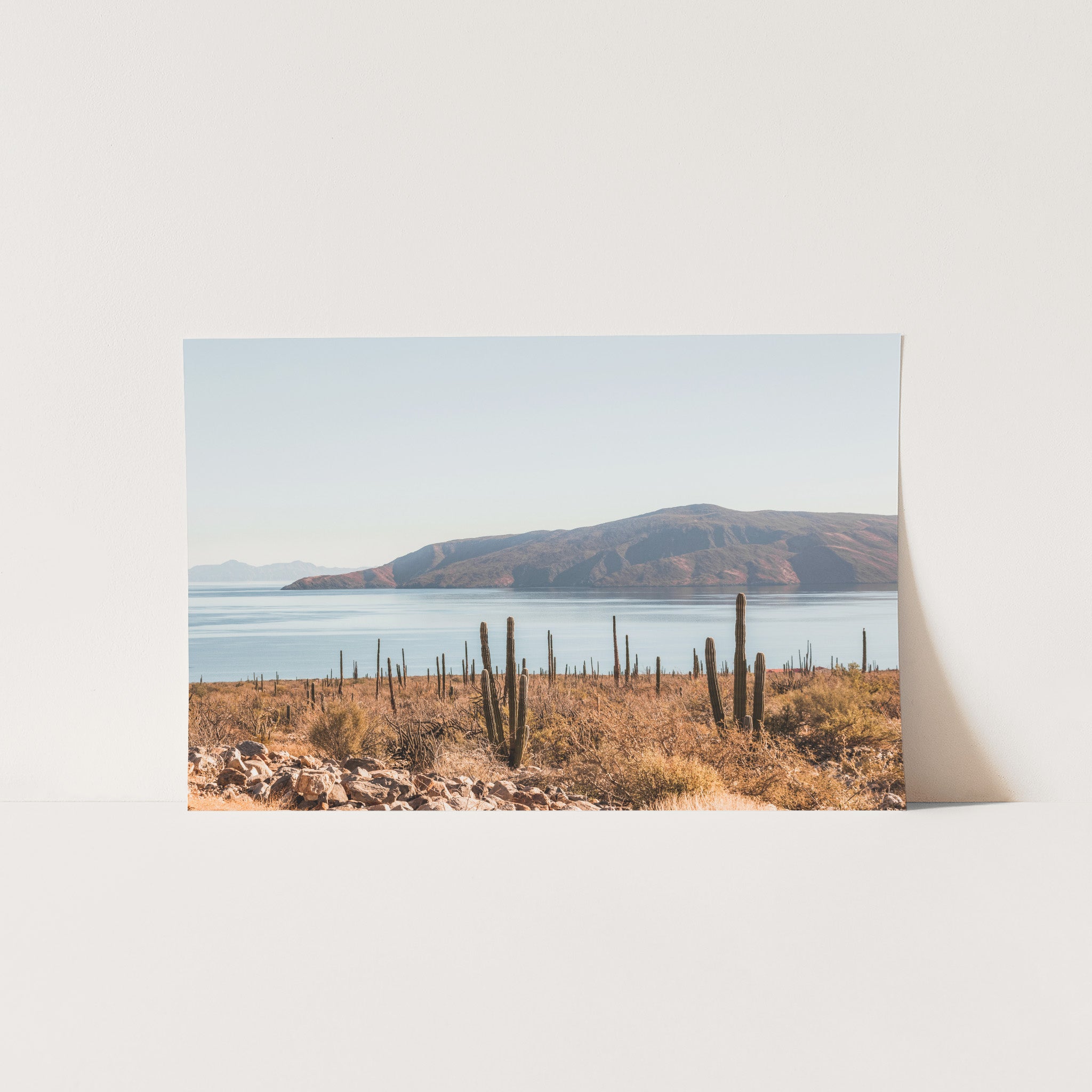 a picture of a desert with a lake and mountains in the background