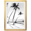 a black and white photo of palm trees on a beach