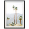 a framed photograph of palm trees with mountains in the background