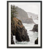 a picture of a rocky coast with trees on it