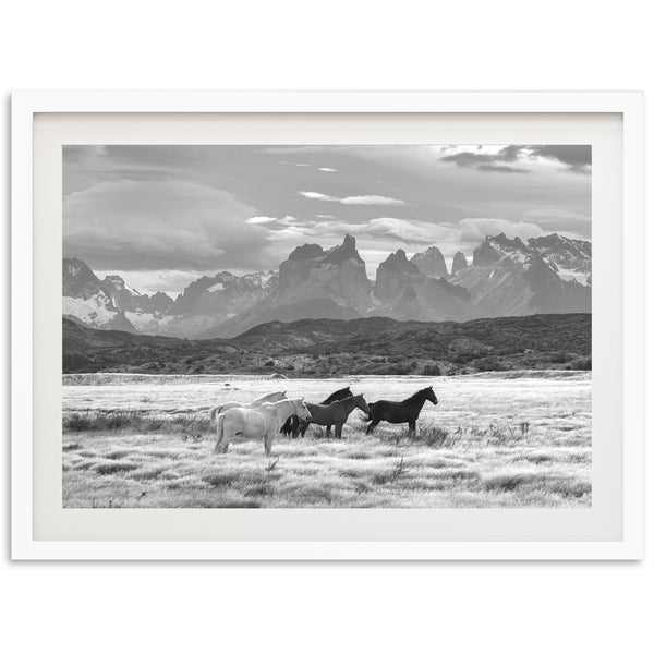 a black and white photo of three horses in a field