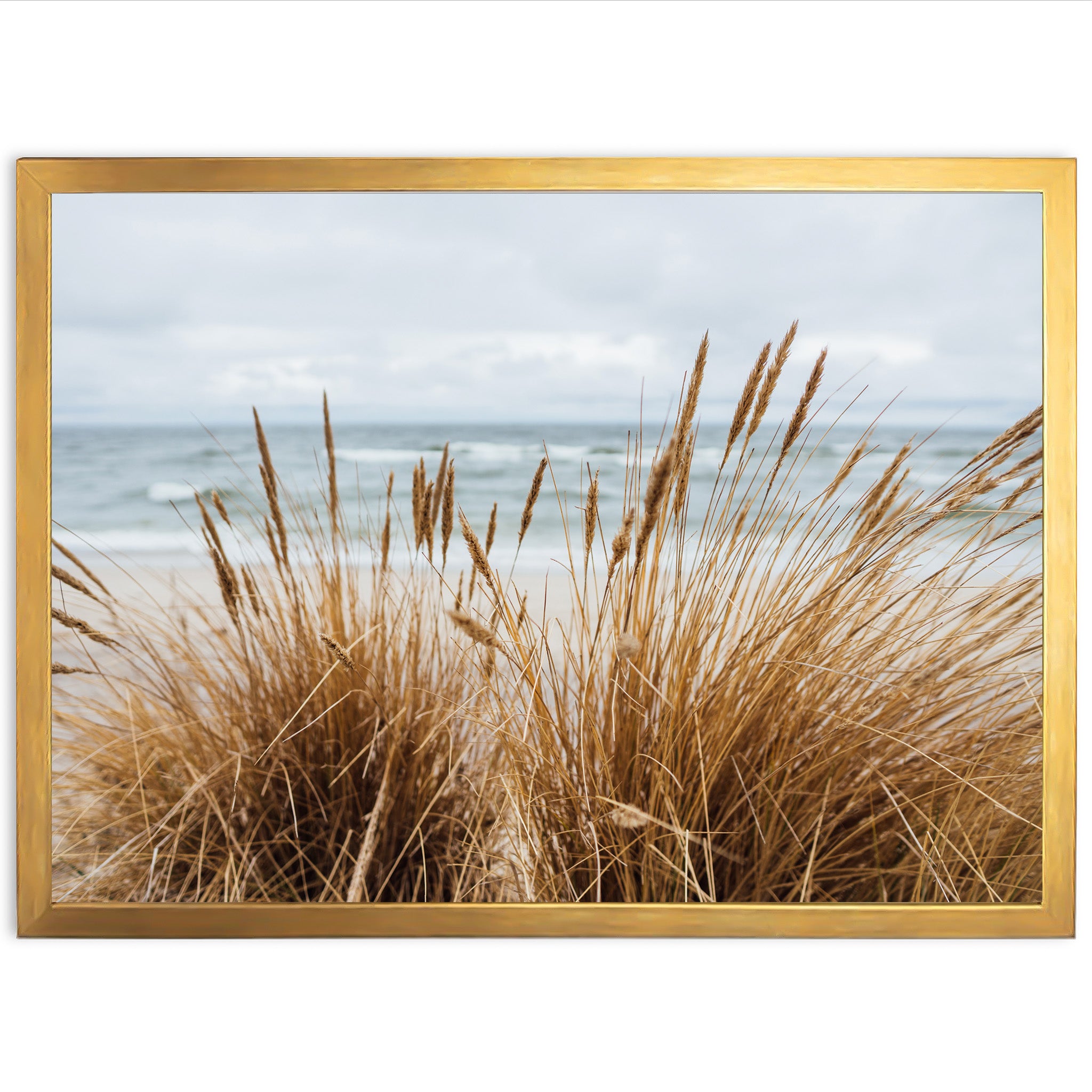 a picture of a beach with grass in the foreground