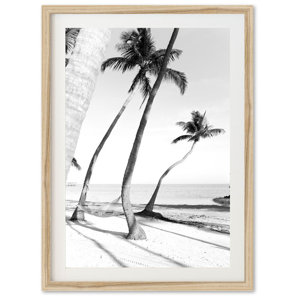 a black and white photo of palm trees on a beach