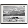 a black and white photo of horses in a field