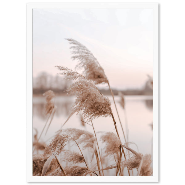 a picture of some plants in front of a body of water