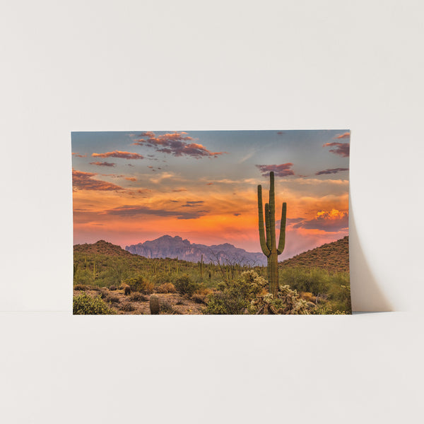 a desert scene with a cactus and mountains in the background