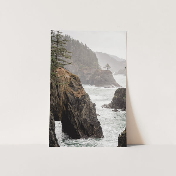 a polaroid photo of a rocky coast with pine trees