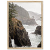 a picture of a rocky coast with trees on it