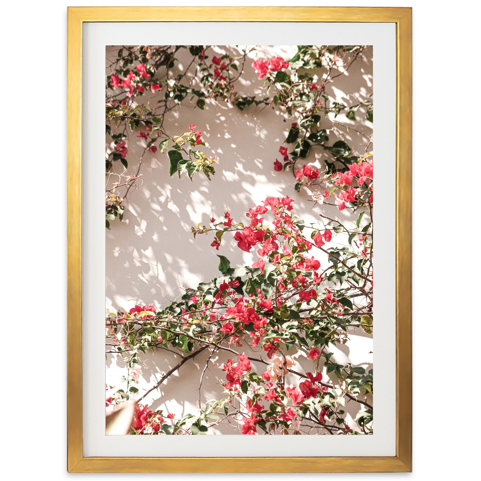 a picture of red flowers on a white wall