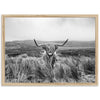 a black and white photo of a long horn bull