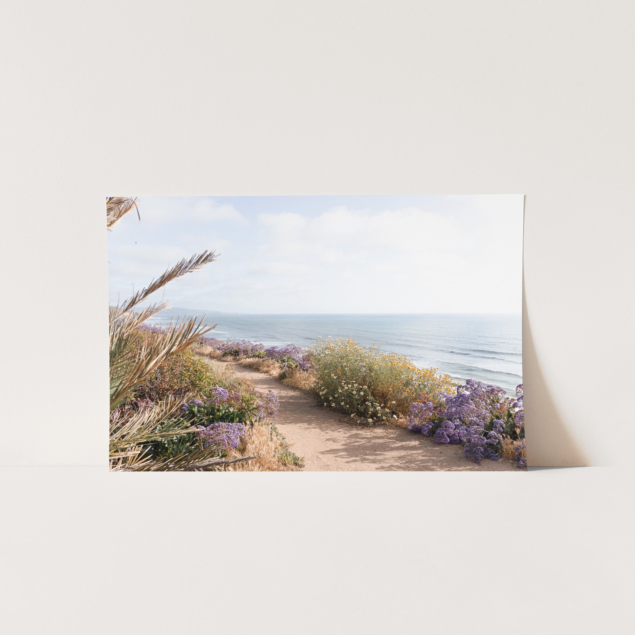 a picture of a path leading to the beach