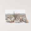 a picture of a desert scene with a cactus in the foreground