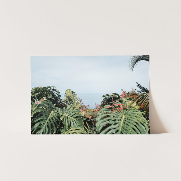 a picture of a tropical scene with a view of the ocean