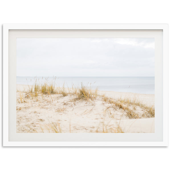 a picture of a beach with grass and the ocean in the background