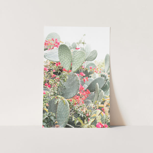 a card with a cactus and flowers on it