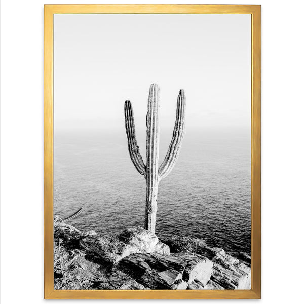 a black and white photo of a cactus by the ocean