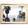 a black and white photo of palm trees and the ocean