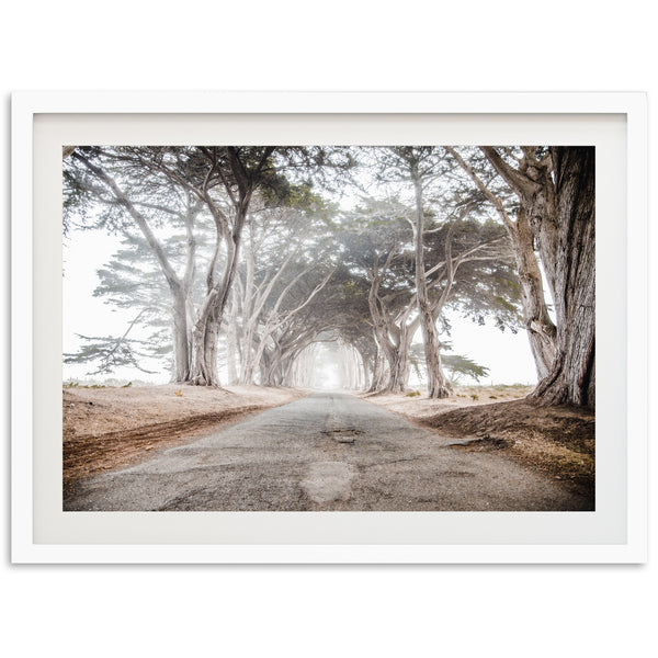 a picture of a dirt road surrounded by trees