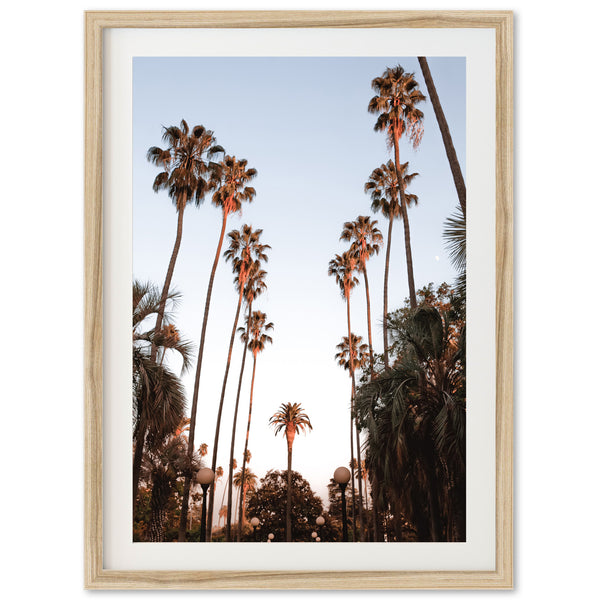 a framed photograph of palm trees against a blue sky