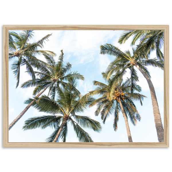 a picture of palm trees against a blue sky