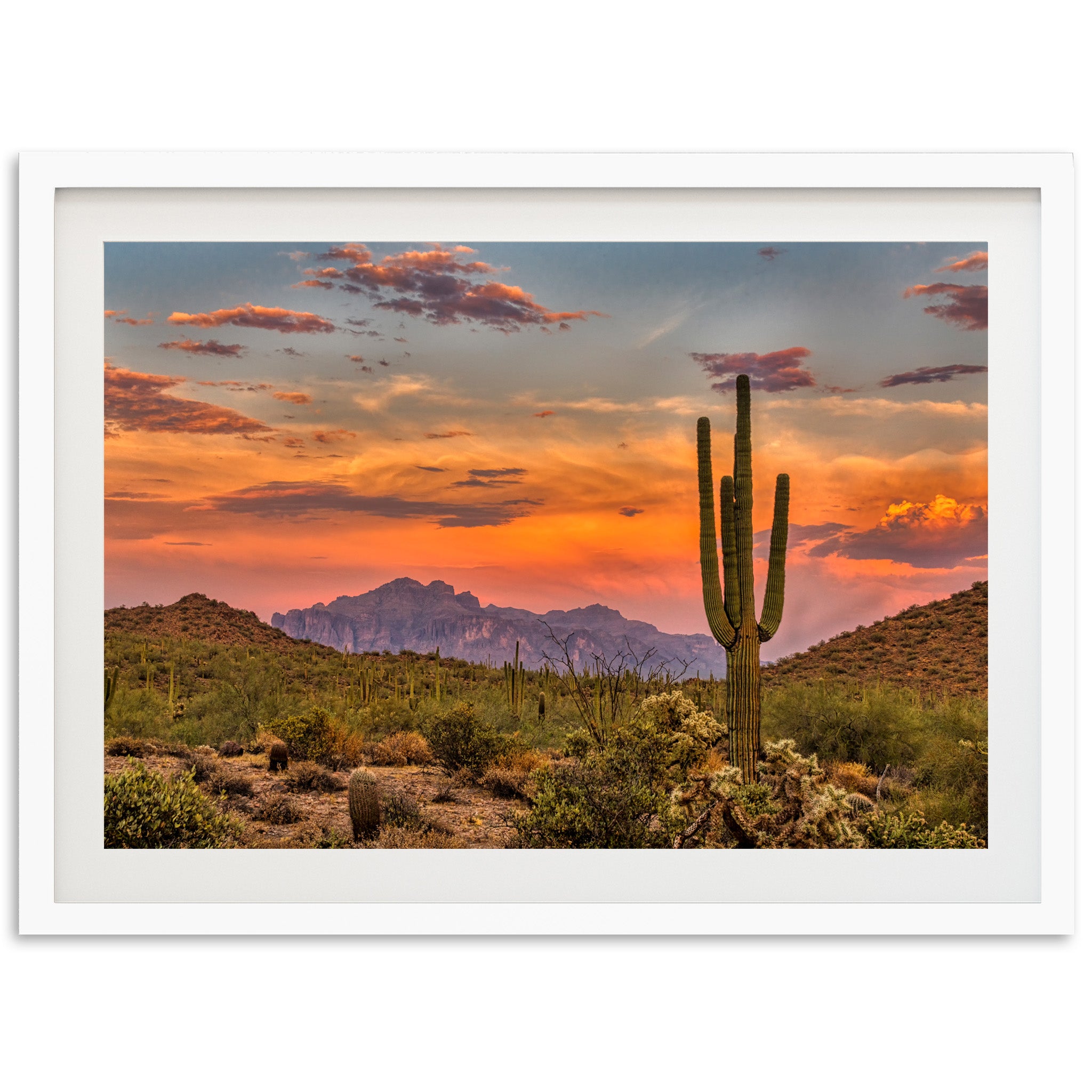 a picture of a desert with a cactus in the foreground