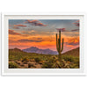 a picture of a desert with a cactus in the foreground