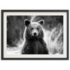 a black and white photo of a bear