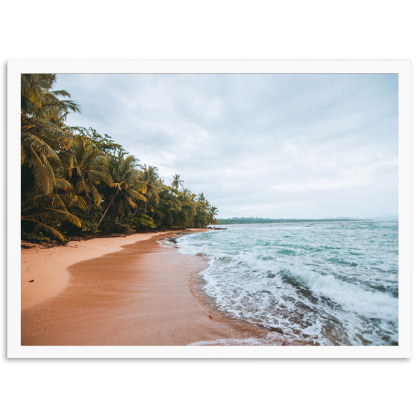 a picture of a beach with palm trees