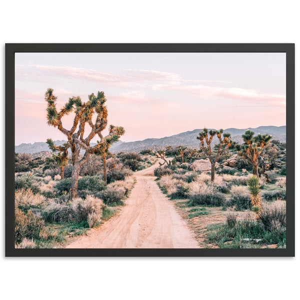 a dirt road in the middle of a desert