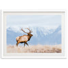 a picture of an elk in a field with mountains in the background