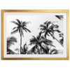 a black and white photo of palm trees