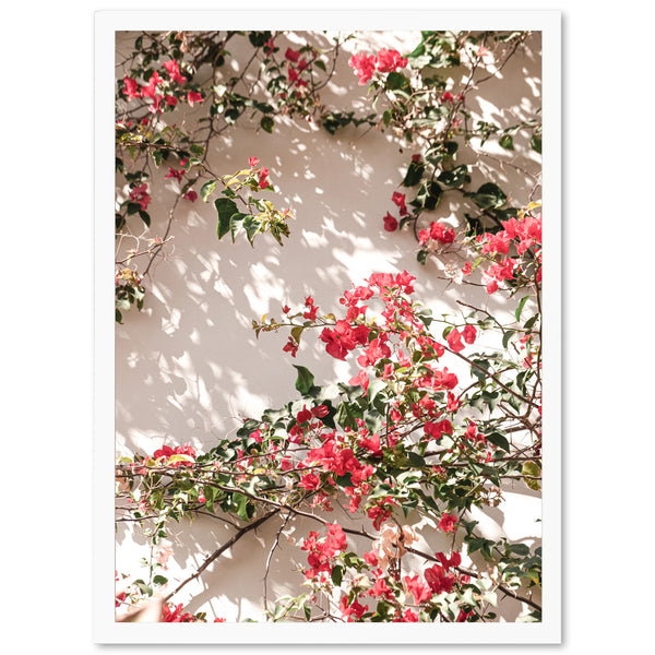 a picture of red flowers on a white wall