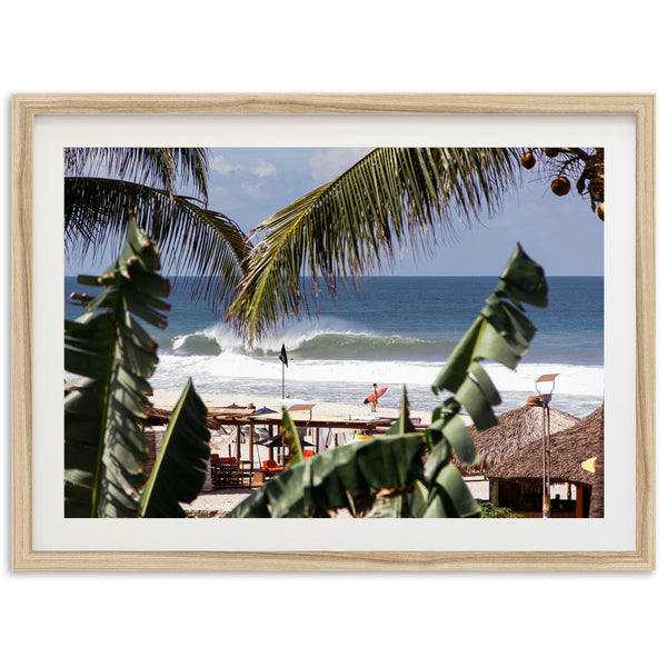 a picture of a beach with a palm tree in the foreground