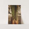 a picture of a person's butt with a palm leaf on it