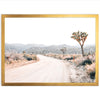 a picture of a dirt road in the desert