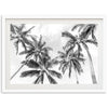 a black and white photo of palm trees