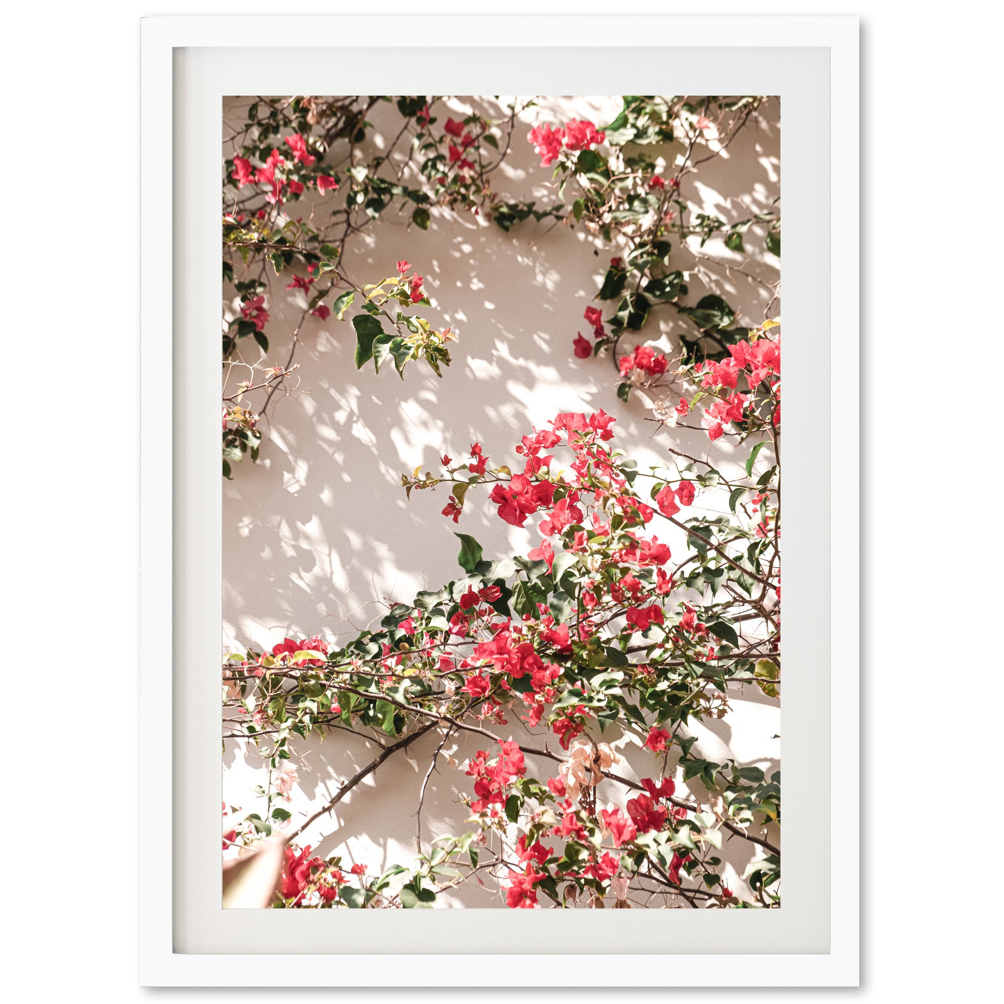 a picture of red flowers on a white wall