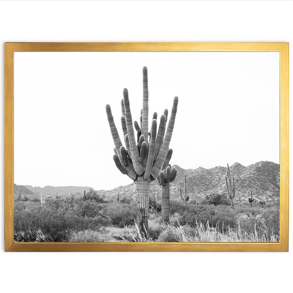 a black and white photo of a cactus