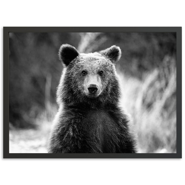 a black and white photo of a bear