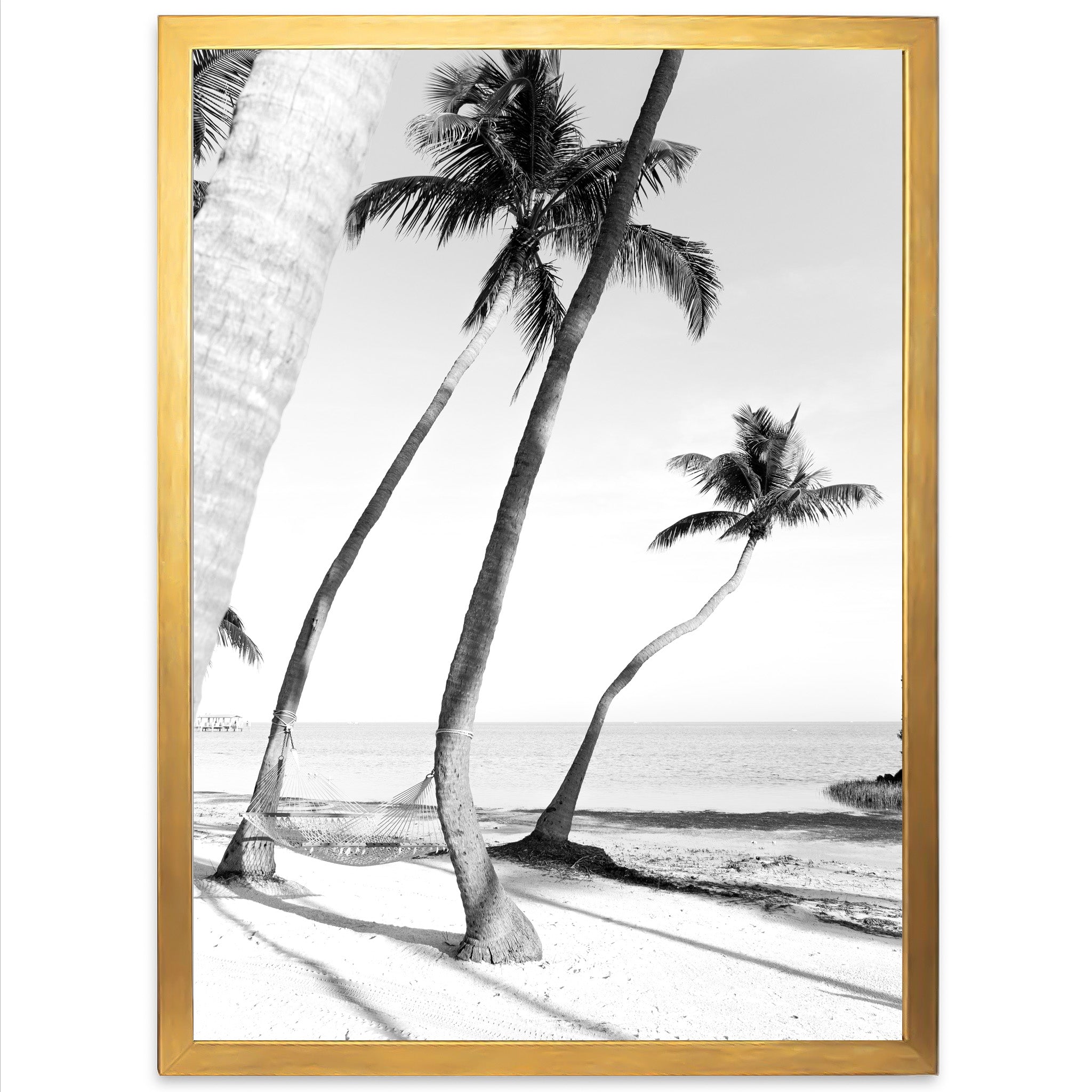 a black and white photo of palm trees on a beach